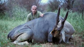 Eland