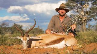 Springbuck