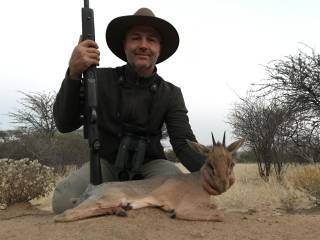 Damara Dik-Dik