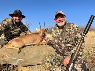 Steenbok