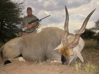 Eland