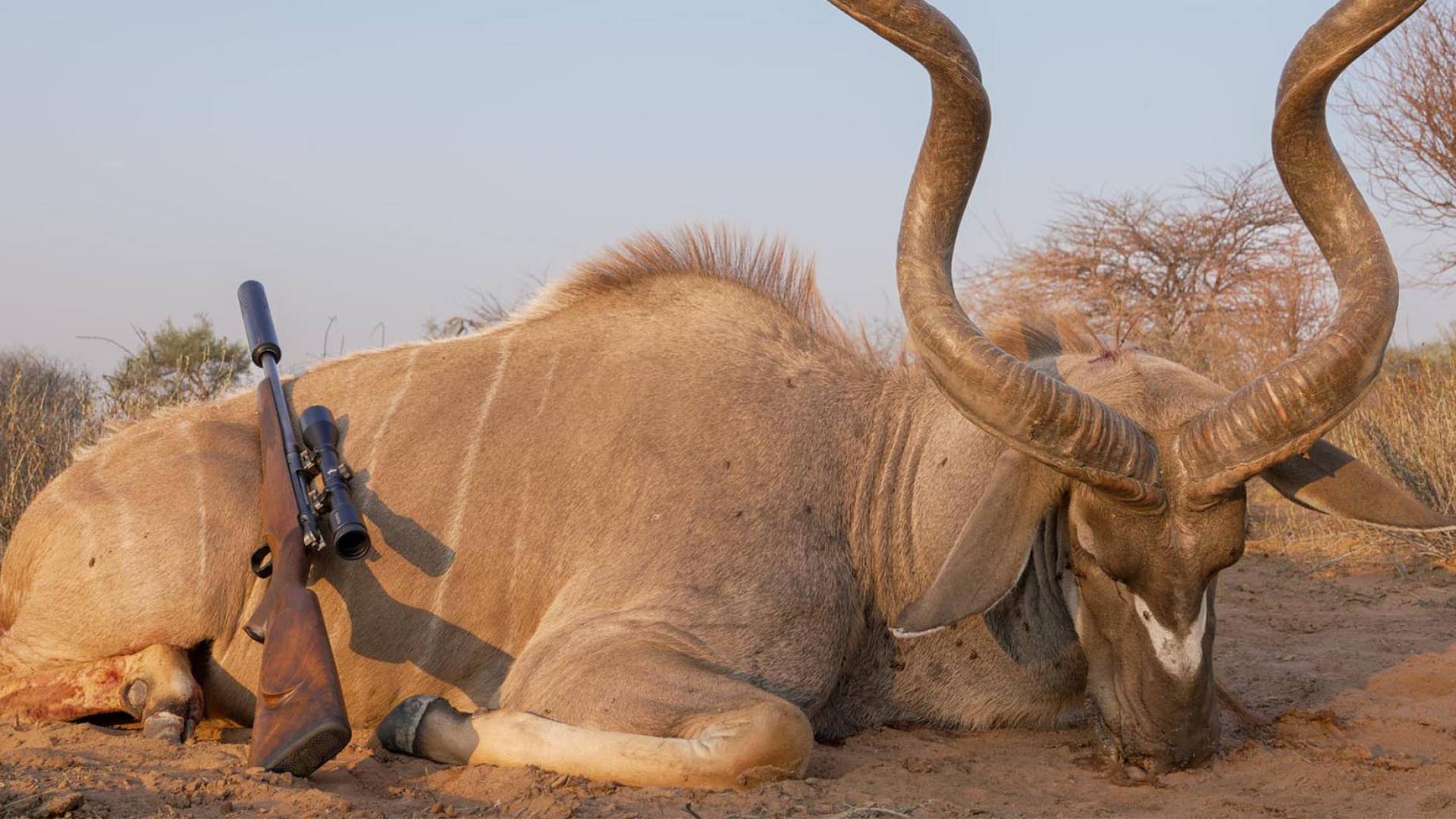 The Kalahari