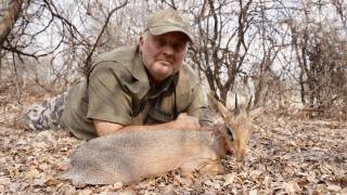 Damara Dik-Dik