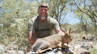 Damara Dik-Dik
