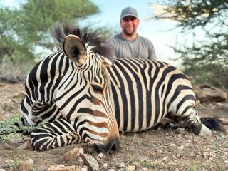 Hartmann's Mountain Zebra
