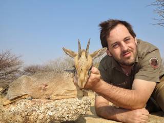 Damara Dik-Dik