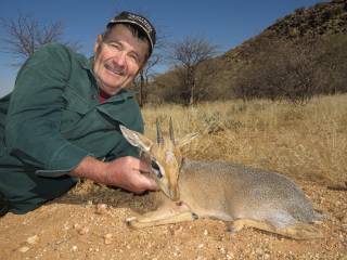 Damara Dik-Dik