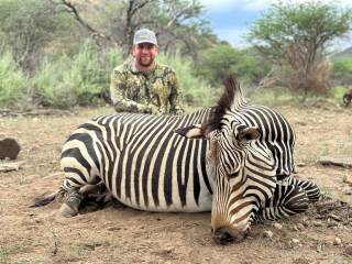 Hartmann's Mountain Zebra