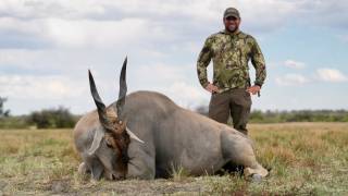 Eland