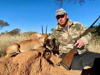 Steenbok