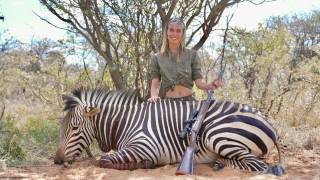 Hartmann's Mountain Zebra