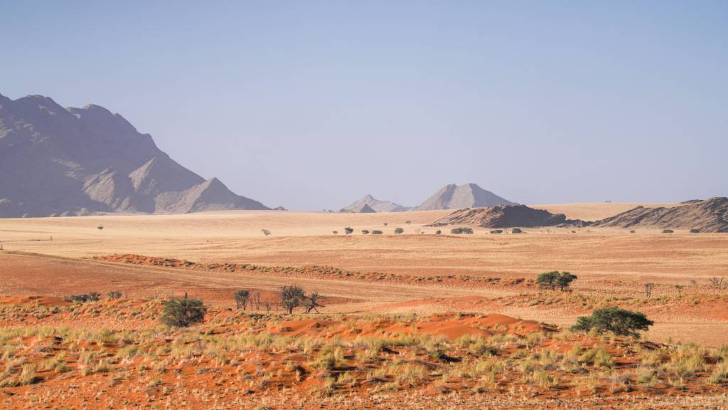 Kalahari Hunting Camp