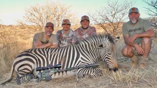 Hartmann's Mountain Zebra
