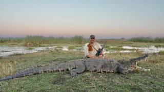 Nile Crocodile