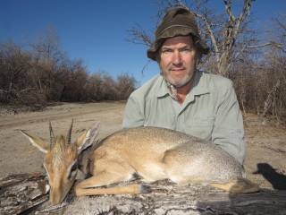 Damara Dik-Dik