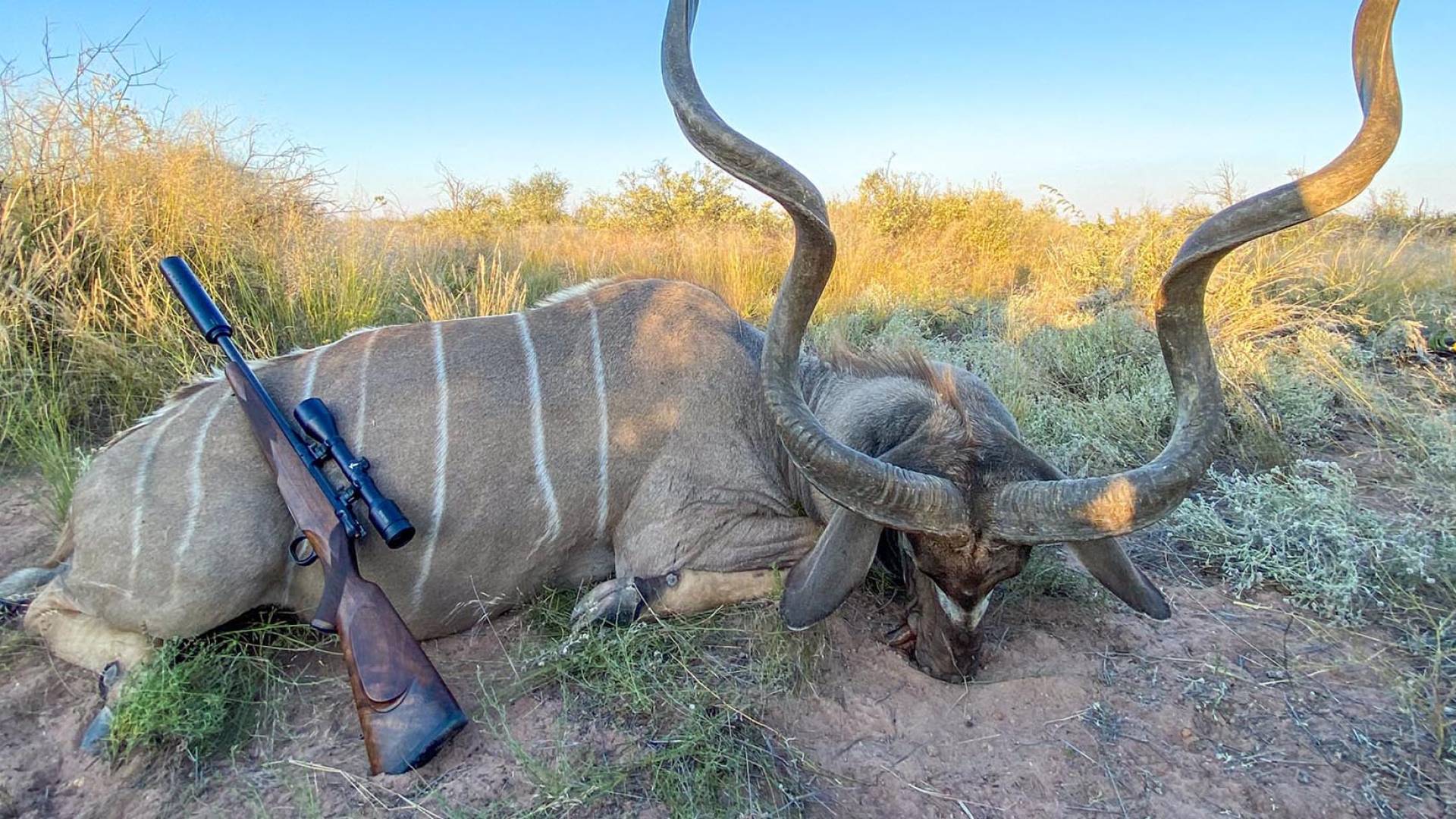 Schalk Pienaar Safaris