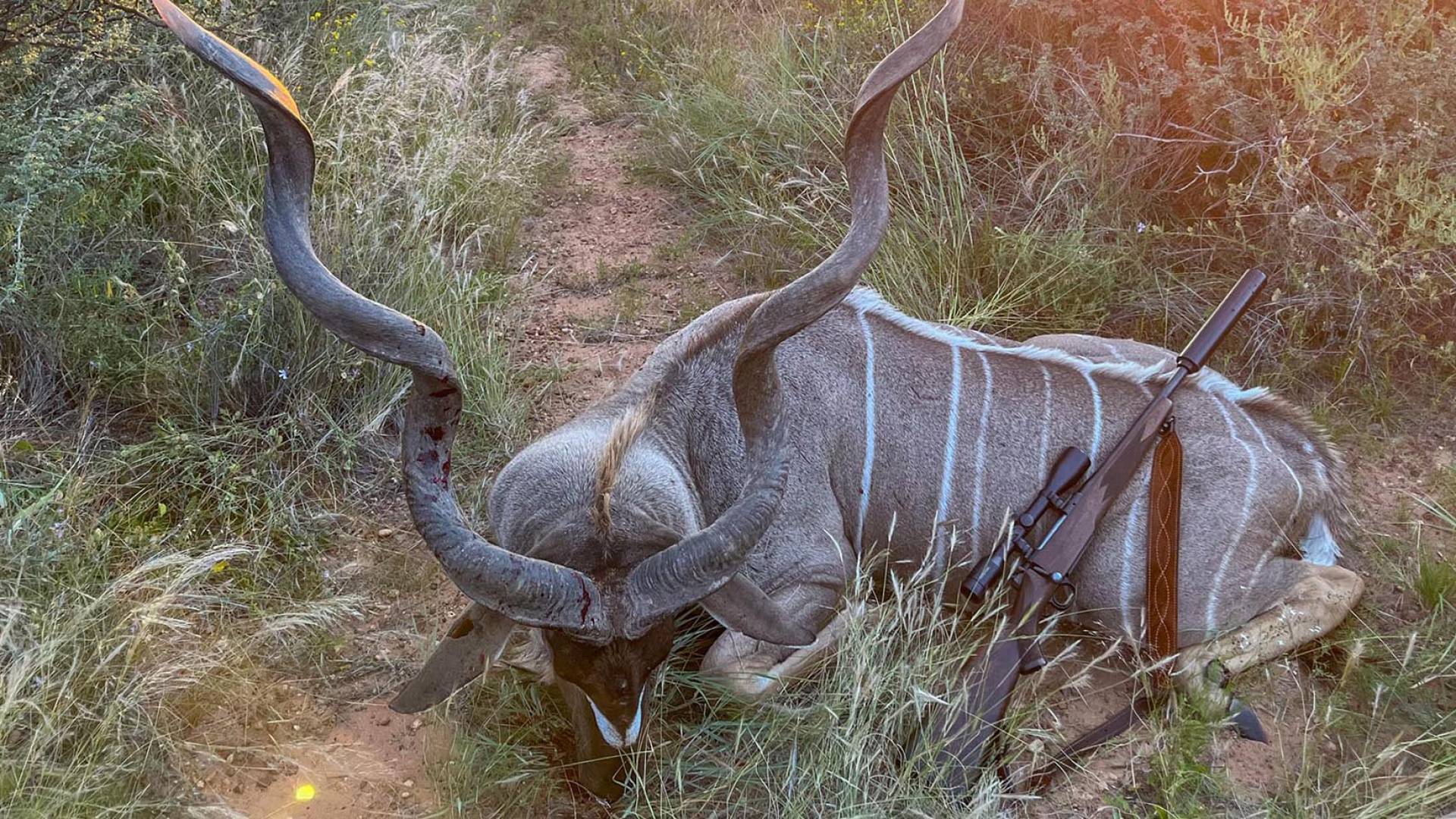 Your Hunt. Your Safari.