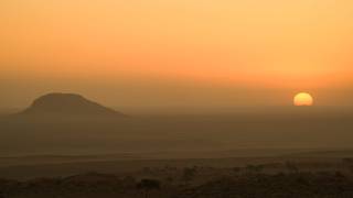 Schalk Pienaar Safaris
