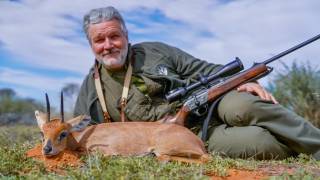 Steenbok