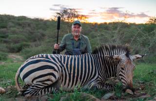 Hartmann's Mountain Zebra