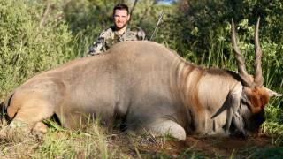 Eland