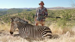 Hartmann's Mountain Zebra