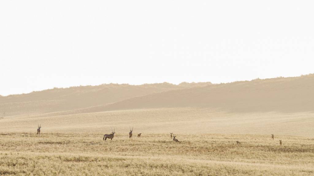 Kalahari Hunting Camp
