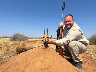 Steenbok