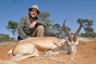 Springbuck