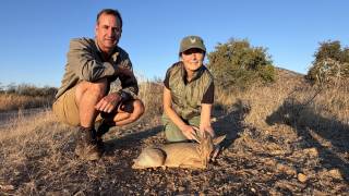 Damara Dik-Dik