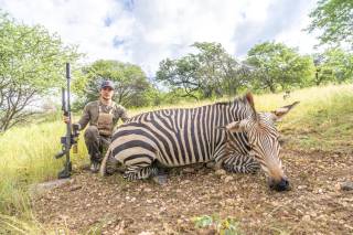 Hartmann's Mountain Zebra