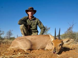 Steenbok
