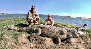 Nile Crocodile